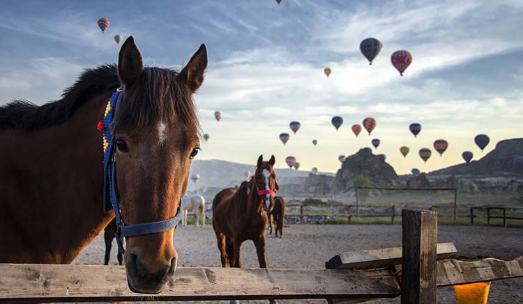 3.คัปปาโดเกีย-Cappadocia-1.jpg